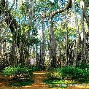 10 Best Tourist Places in Bangalore for an Unforgettable Trip Bannerghatta Biological Park – popular wildlife destination