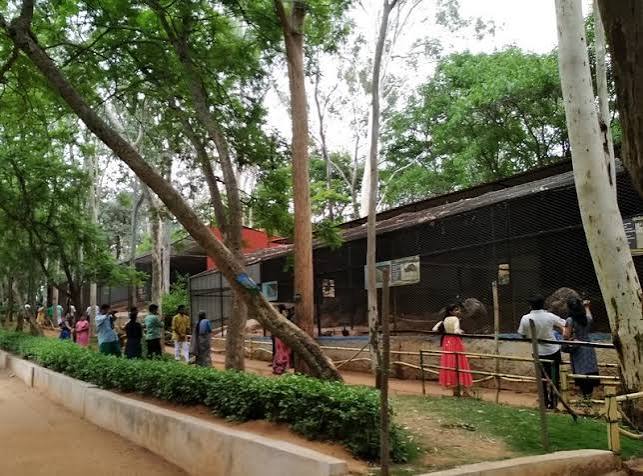 5 Best Tourist Places in Horsley Hills Near Madanapalle Horsley Hills Zoo – wildlife attraction in Horsley Hills