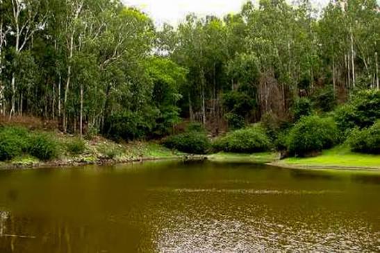 5 Best Tourist Places in Horsley Hills Near Madanapalle Lake Gangotri showcasing the natural beauty of tourist places in Horsley Hills
